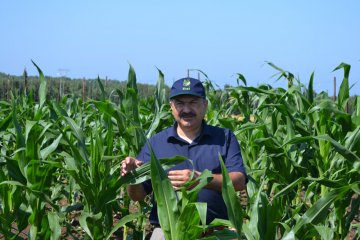 Samsun’da Yeni Çeşit Tanıtım Günleri